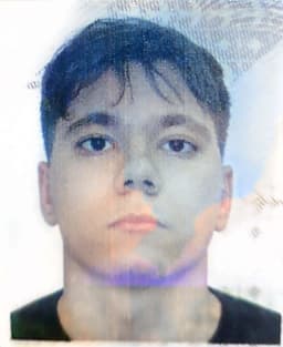 Image dev #0